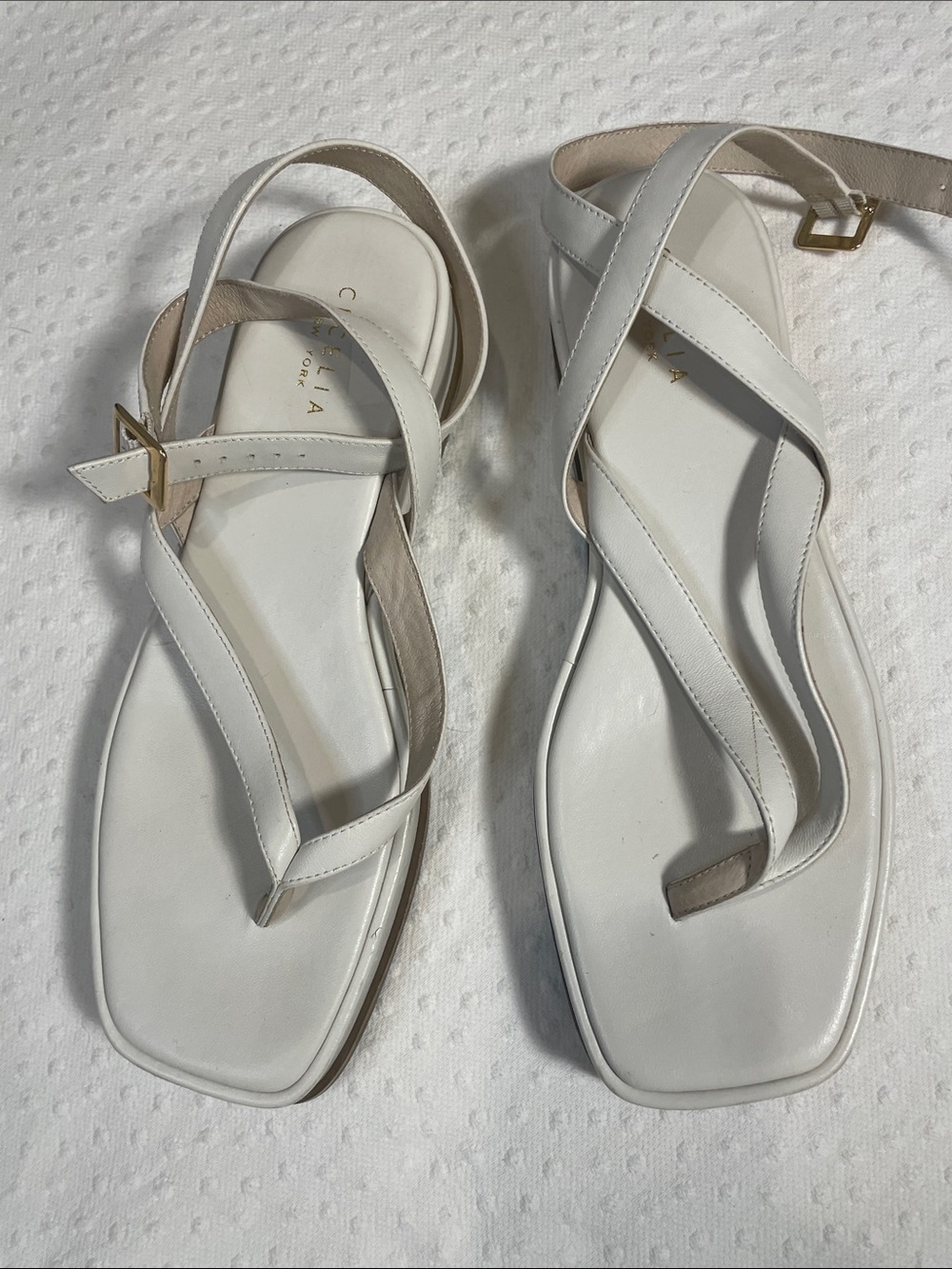 Cecelia NY Ivory Crisscross Square-Toe Sandals with Ankle Strap W10 boutique